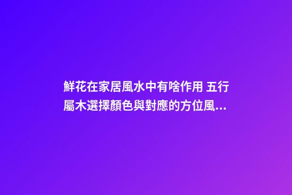 鮮花在家居風水中有啥作用 五行屬木選擇顏色與對應的方位風水有